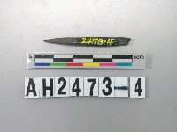 藏品(中型磨製石針)的圖片